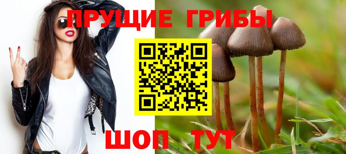 Якутск  Псилоцибиновые грибы Psilocybe  Вход с VPN 